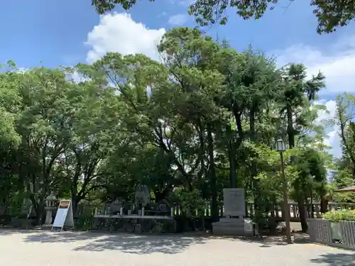 兵庫縣姫路護國神社の自然