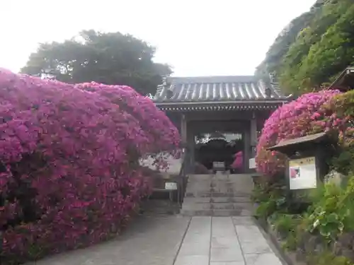 安養院　(田代寺）の山門