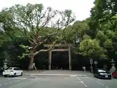 上知我麻神社（熱田神宮摂社）の鳥居