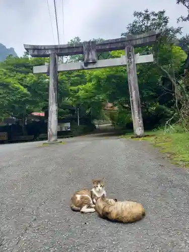 賀野神社の動物