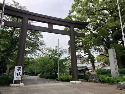 愛知縣護國神社の鳥居