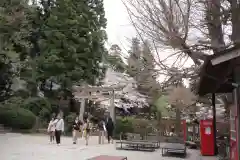 山寺日枝神社の鳥居