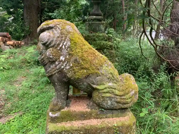 神社(名称不明)の狛犬