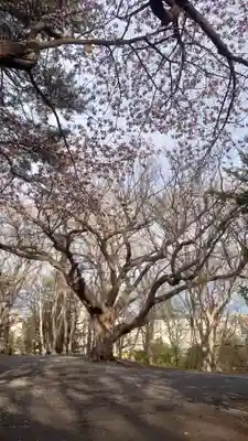 相馬神社(北海道)