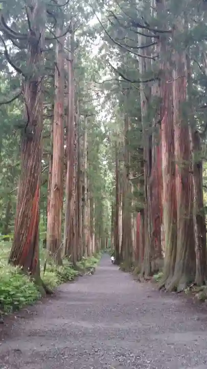 戸隠神社奥社の周辺