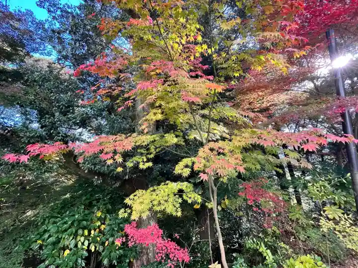 善水寺(滋賀県)