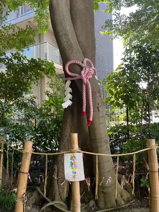 伊和志津神社の周辺