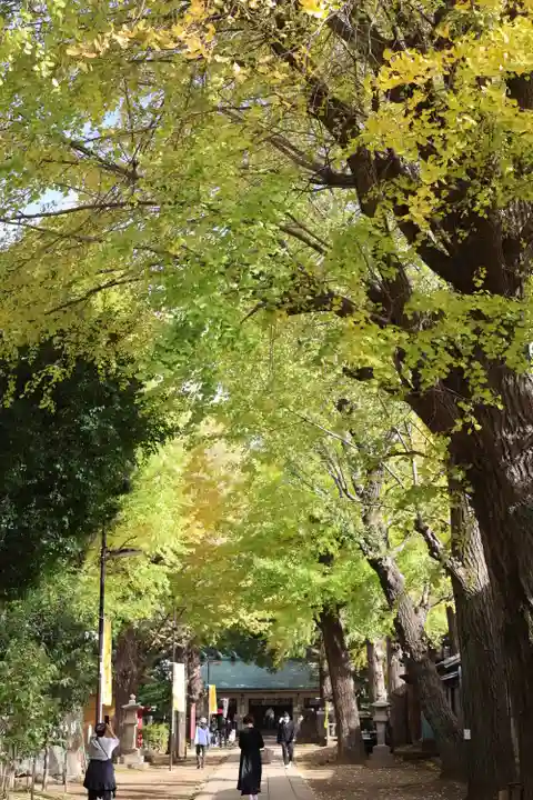 駒込天祖神社(東京都)