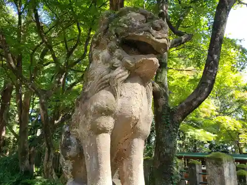 春日山神社の狛犬