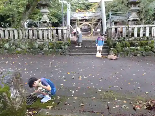 天鷹神社(岐阜県)