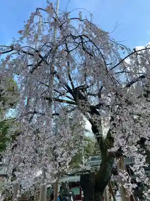 大國魂神社(東京都)
