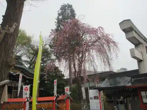 川越八幡宮(埼玉県)