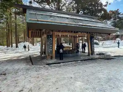 北海道神宮(北海道)