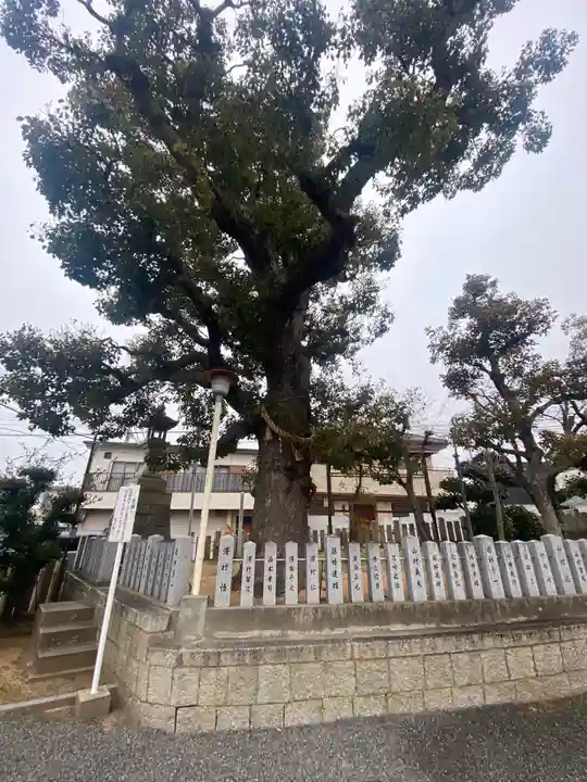 伯太神社(大阪府)