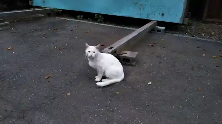 盛岡八幡宮の動物