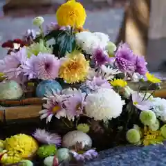 滑川神社 - 仕事と子どもの守り神の手水