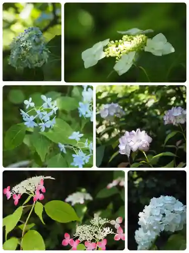 光則寺(神奈川県)