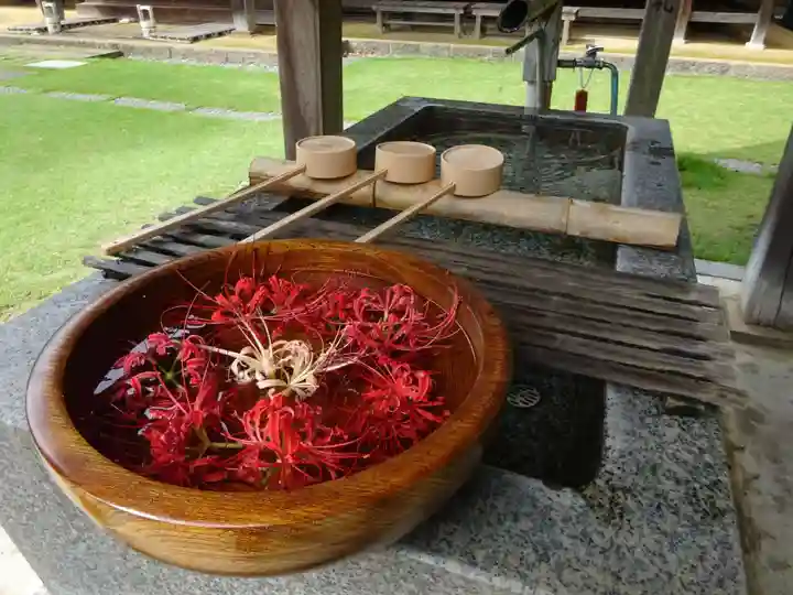 横浜 西方寺の手水舎