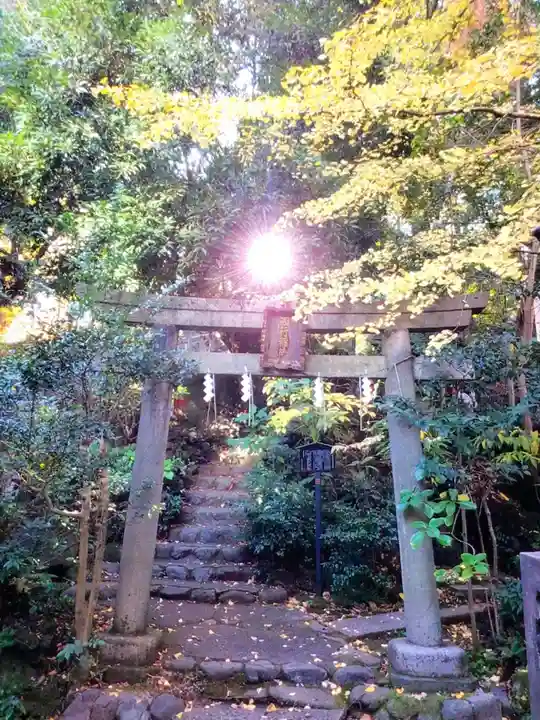 赤坂氷川神社(東京都)