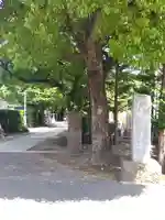 安養寺(東京都)