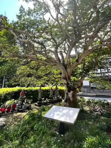 普門寺(岩手県)
