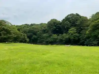 明治神宮(東京都)