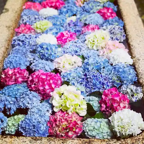 伊勢の国 四天王寺の手水舎