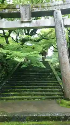 養父神社の鳥居