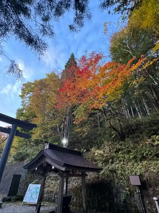 戸隠神社中社(長野県)