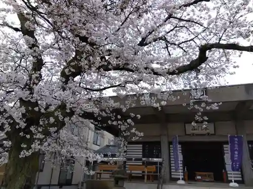 妙経寺(福井県)