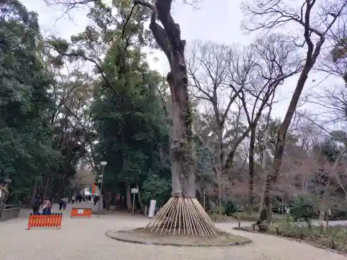 賀茂御祖神社（下鴨神社）の{uncategorized: "未分類", other: "その他", undefined: "問題あり", building: "その他建物", grave: "お墓", sacred_gate: "鳥居", guardian: "狛犬", statue: "像", buddha: "仏像", history: "歴史", nature: "自然", garden: "庭園", animal: "動物", pagoda: "塔", temizu: "手水舎", mountain_gate: "山門・神門", sanctuary: "本殿・本堂", subordinate: "末社・摂社", art: "芸術", scenery: "景色", jizo: "地蔵", ema: "絵馬", goshuin: "御朱印", omikuji: "おみくじ", items: "授与品その他", amulet: "お守り", goshuincho: "御朱印帳", eats: "食事", festival: "お祭り", votive_dance: "神楽", shichigosan: "七五三参", wedding: "結婚式", experience: "体験その他", initially: "初詣", around: "周辺", anti_infection: "感染症対策"}