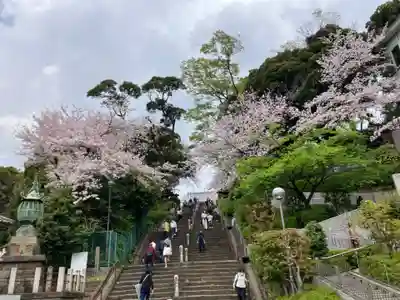 池上本門寺(東京都)