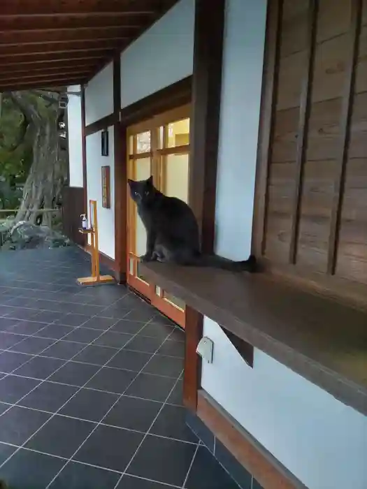 観音寺の建物その他