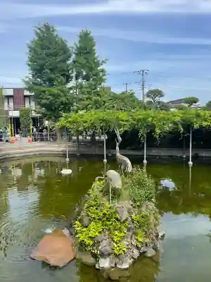 川崎大師（平間寺）(神奈川県)