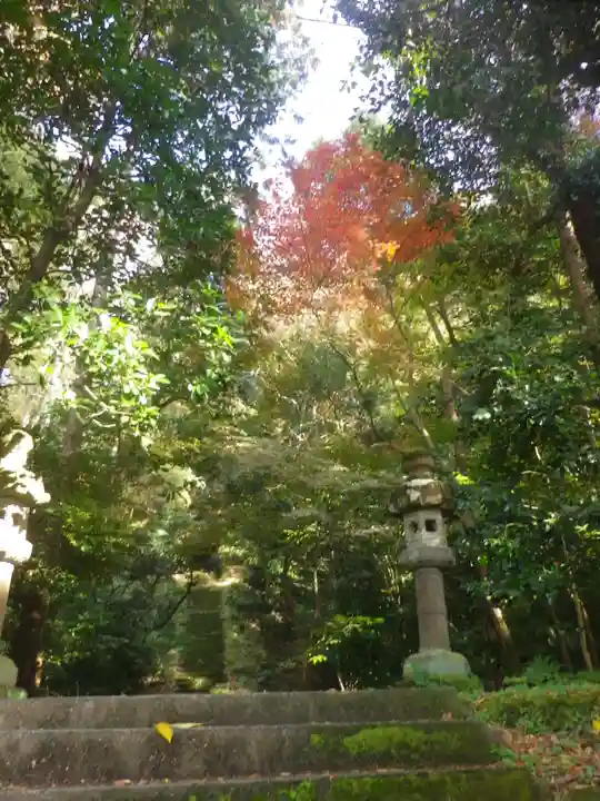 理智光寺跡(理智光寺址)<史跡>のその他建物