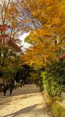 賀茂御祖神社（下鴨神社）(京都府)