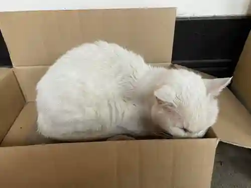 愛宕神社(東京都)