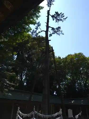 荻窪八幡神社(東京都)