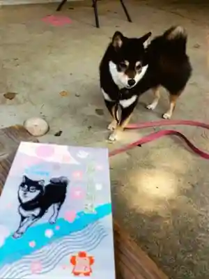 上目黒氷川神社(東京都)