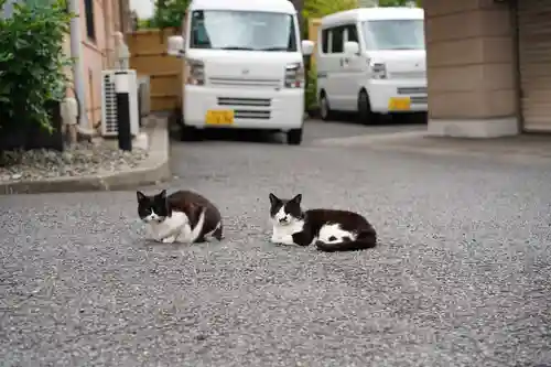 白金氷川神社(東京都)