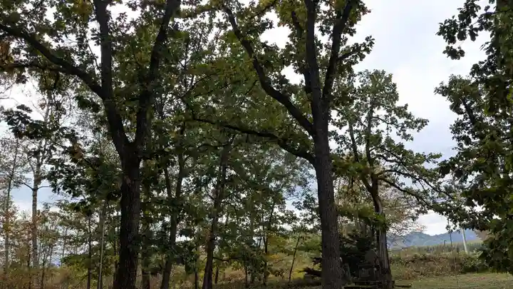 上札内神社の自然
