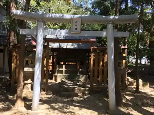 土呂八幡宮の鳥居