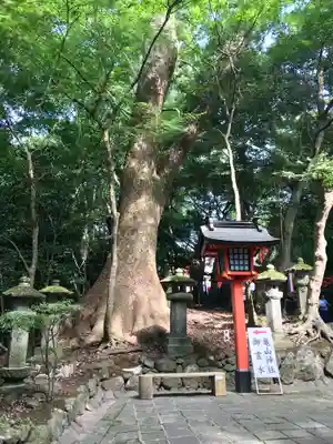 宇佐神宮(大分県)