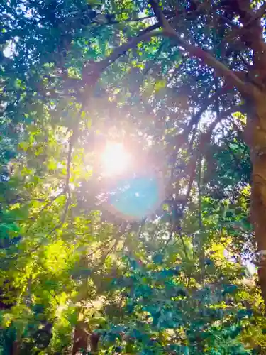 蛟蝄神社奥の宮(茨城県)