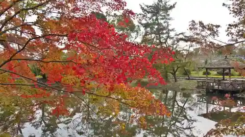 半木神社の庭園