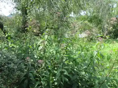 法善寺(埼玉県)