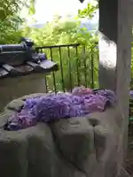 石内のお大師さん 金剛院(広島県)