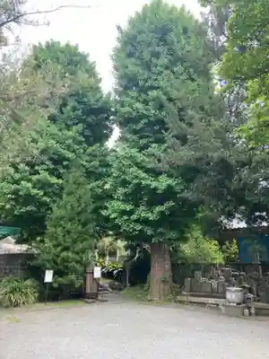 安楽院(神奈川県)