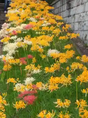 横浜　西方寺(神奈川県)