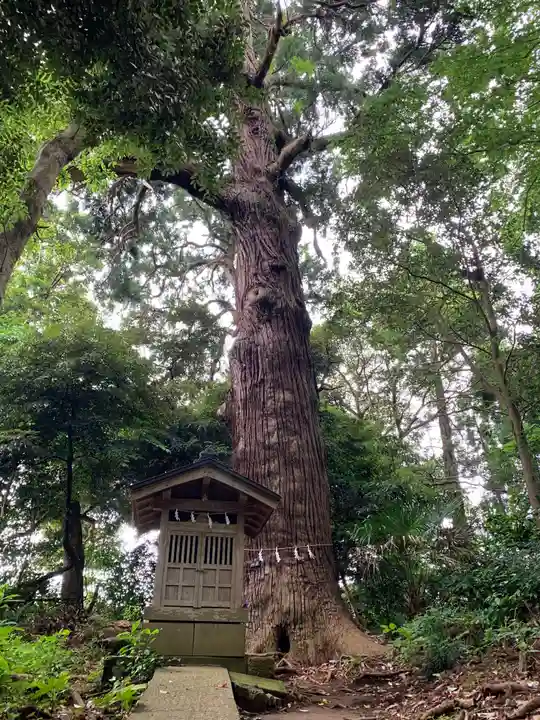 日吉神社の自然